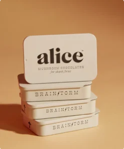 Buy Alice Mushroom Chocolates